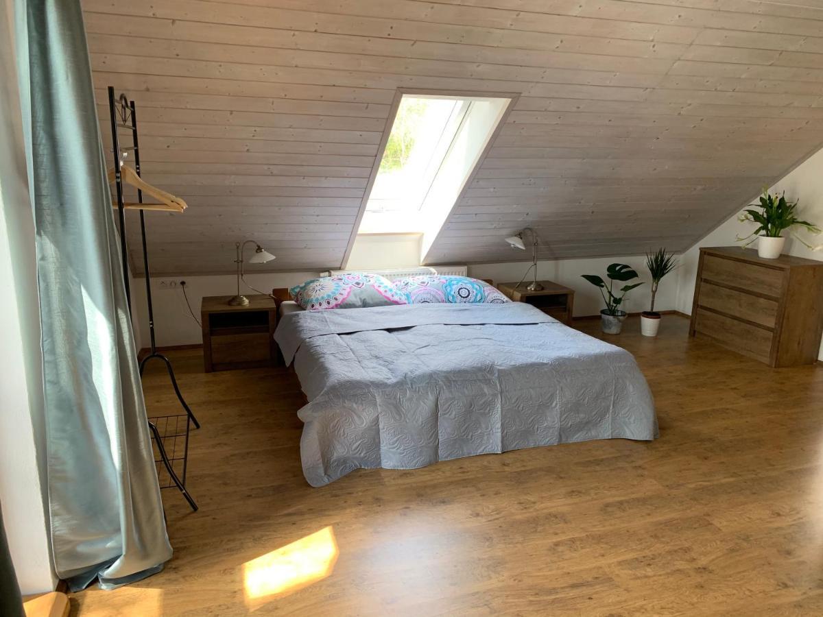 Apartman Stodola Chodová Planá 外观 照片